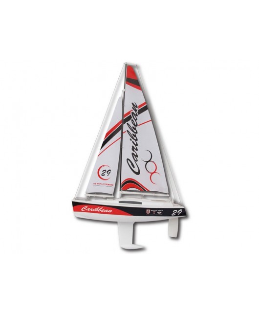 Joysway Voilier Binaire V3 Catamaran RTR - Technologie Voile Intelligente