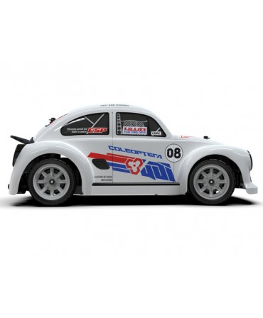 UDI RC BUG STYLE PRO BRUSHLESS 1/16 4WD 2,4Ghz RTR UD1608PRO