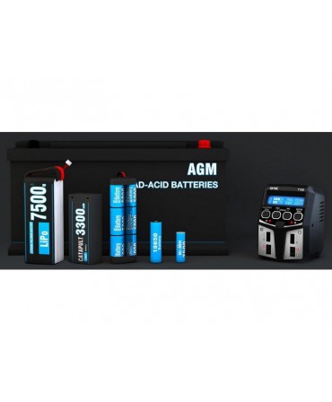 Chargeur SkyRC T100 DUO 2 X 50W AC SK100162
