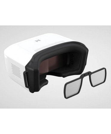 CADDXFPV Walksnail Avatar HD Goggles L WN02-FP004