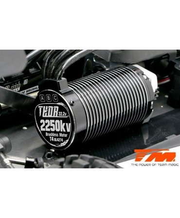 TEAM MAGIC Buggy B8ER 6S BLEU NOIR 1/8 2,4Ghz RTR BRUSHLESS TM560011DH6