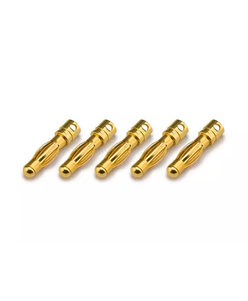 Prise PK 4 mm mâle doré (5pcs) KN-130308-5M