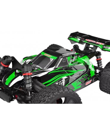Buggy TEAM CORALLY ASUGA XLR 6S VERT 2,4Ghz RTR BRUSHLESS C-00288-G