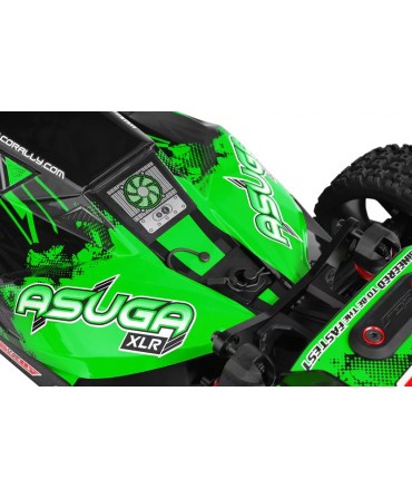 Buggy CORALLY ASUGA XLR 6S VERT 2,4Ghz RTR BRUSHLESS C-00288-G