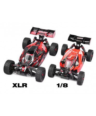 Buggy CORALLY ASUGA XLR 6S BLEU 2,4Ghz RTR BRUSHLESS C-00288-B