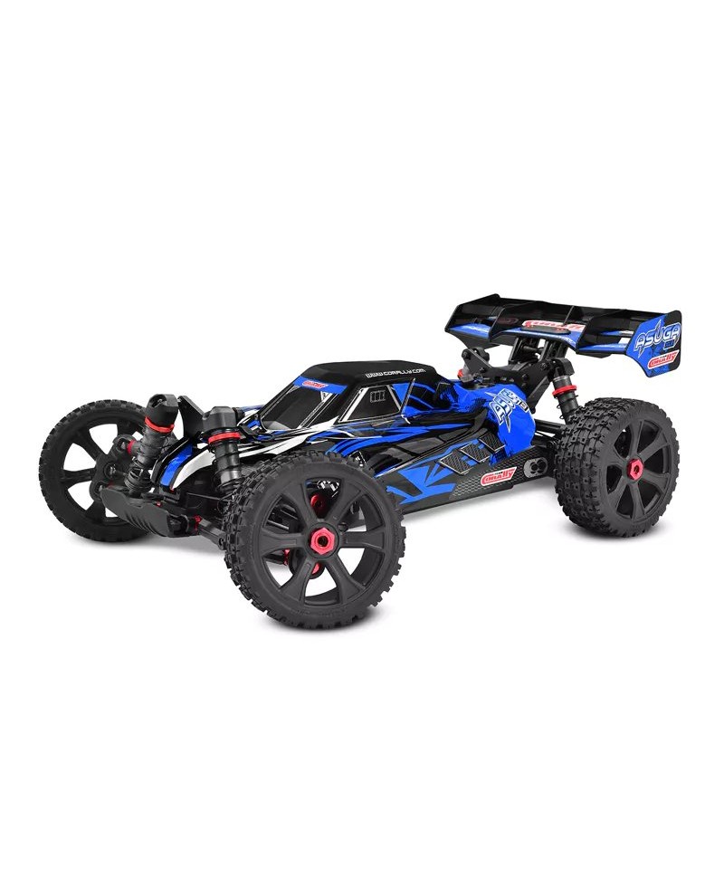 Buggy TEAM CORALLY ASUGA XLR 6S BLEU 2,4Ghz RTR BRUSHLESS C-00288-B