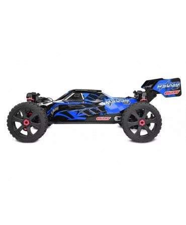 Buggy TEAM CORALLY ASUGA XLR 6S BLEU 2,4Ghz RTR BRUSHLESS C-00288-B