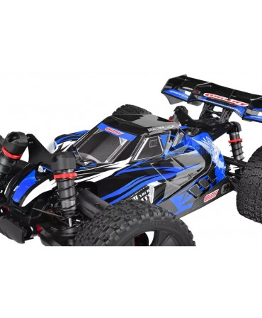 Buggy TEAM CORALLY ASUGA XLR 6S BLEU 2,4Ghz RTR BRUSHLESS C-00288-B