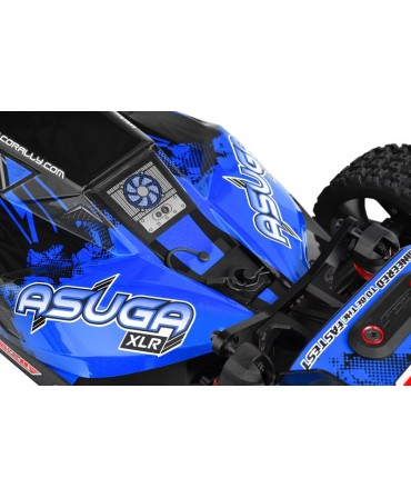 Buggy CORALLY ASUGA XLR 6S BLEU 2,4Ghz RTR BRUSHLESS C-00288-B