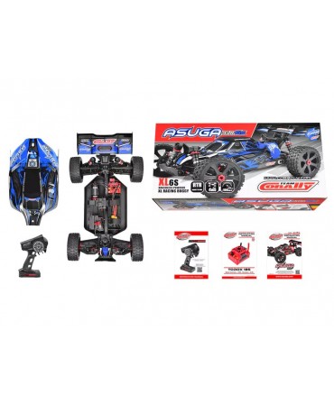Buggy TEAM CORALLY ASUGA XLR 6S BLEU 2,4Ghz RTR BRUSHLESS C-00288-B