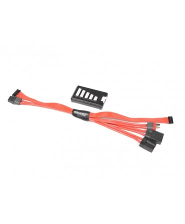 TEAM CORALLY - Pack Énergie - 2 LiPo 60C - 5200mAh - 3S - XT-90 - Chargeur Ultra-X 80 6S + Sac LiPo + Câble d'équilibrage