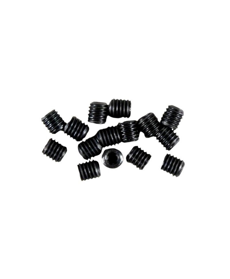 FG Modellsport Vis Torx métal sans tête M5 x 6mm (15pcs) 1/5 06930/06