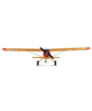 FMS BEAVER 800MM RTF FMS155PYL